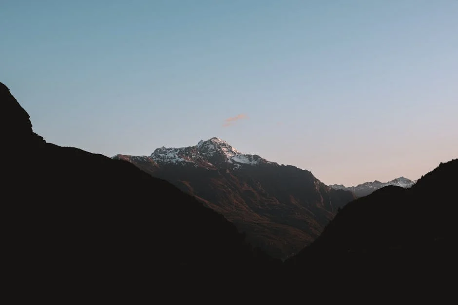 Finn Allen's Century Sends New Zealand Past South Africa: What It Means for Future Matches — Culture Arts