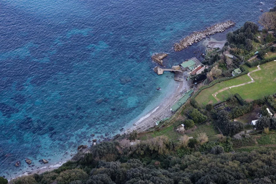 Fiorentina vs Lazio: Serie A Stats and Head-to-Head Analysis — Culture Arts