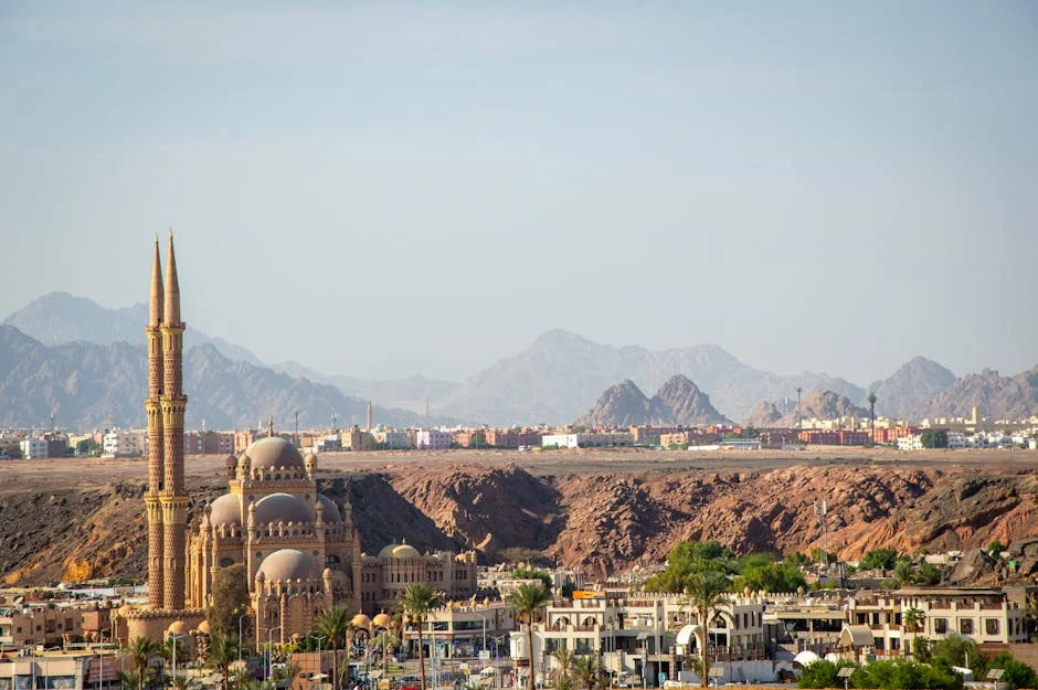 Foreigners Flee Dubai, Leaving Pets Behind - What Does It Mean for Africa's Development? — Economy Business