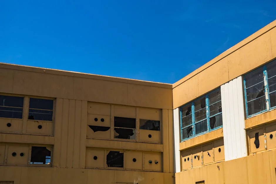 Former Player Slams State of Newlands Stadium — What This Means for South Africa — Economy Business