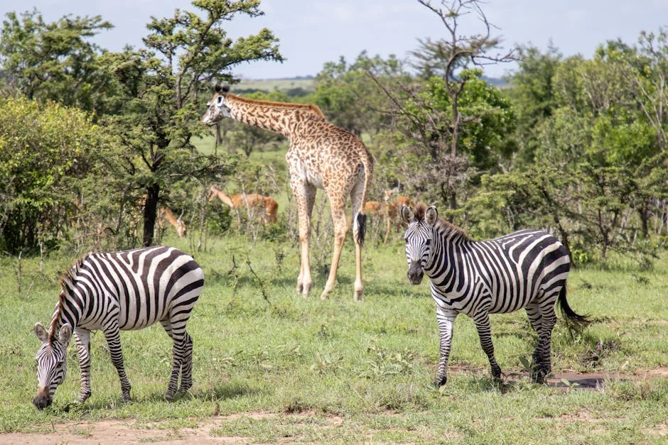 France Engages African Leaders in Kenya — Aiming to Revamp Economic Ties — Health Medicine