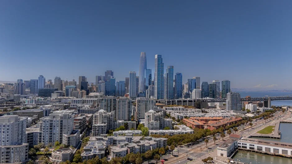 Francisco Trincão Extends Sporting Contract Until 2030 — What It Means for African Football — Economy Business