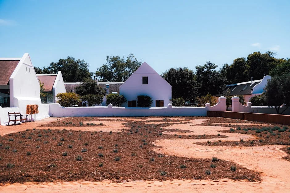 Gavin Hunt's Stellenbosch FC falters against Siwelele: what this means for the league — Economy Business