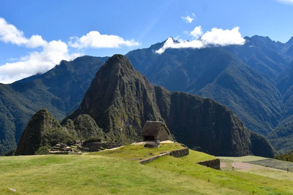 GB's Lost Track Resurfaces, Sparking South Africa Debate — Economy Business