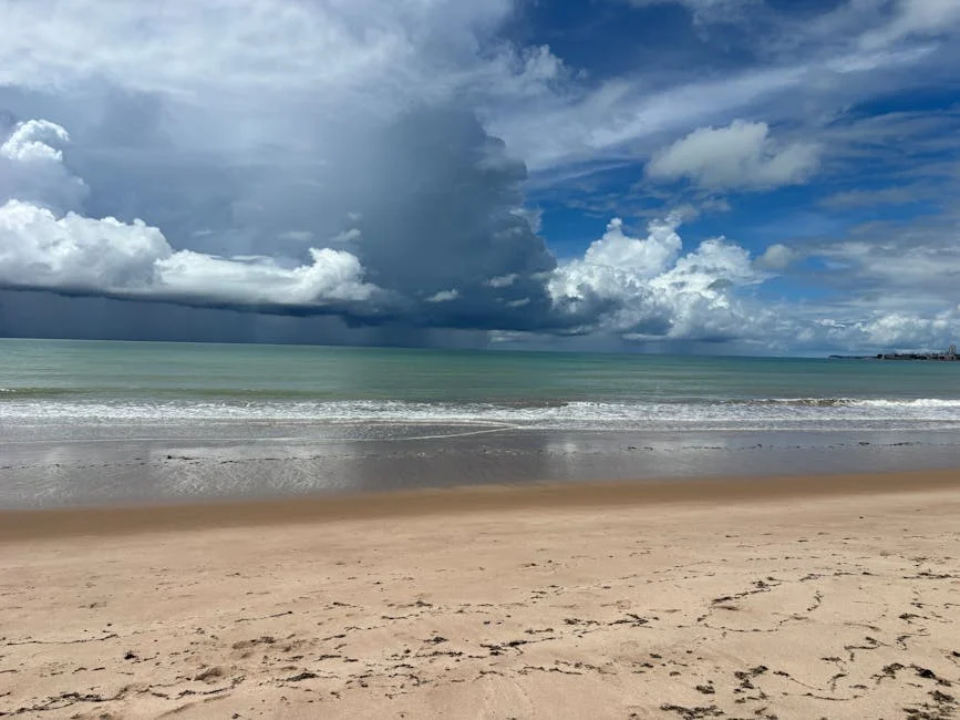 Government Faces Criticism Over Delayed Storm Victim Aid — President Stunned — Economy Business