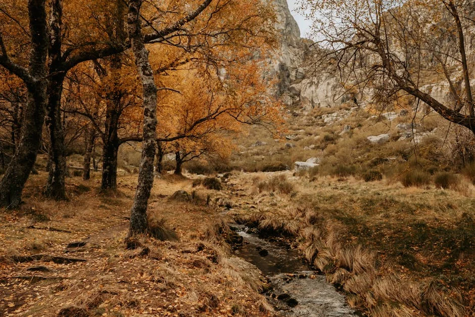 Guardas Slam South African Prisons as 'Museum of Negligence' — here's why it matters — Economy Business