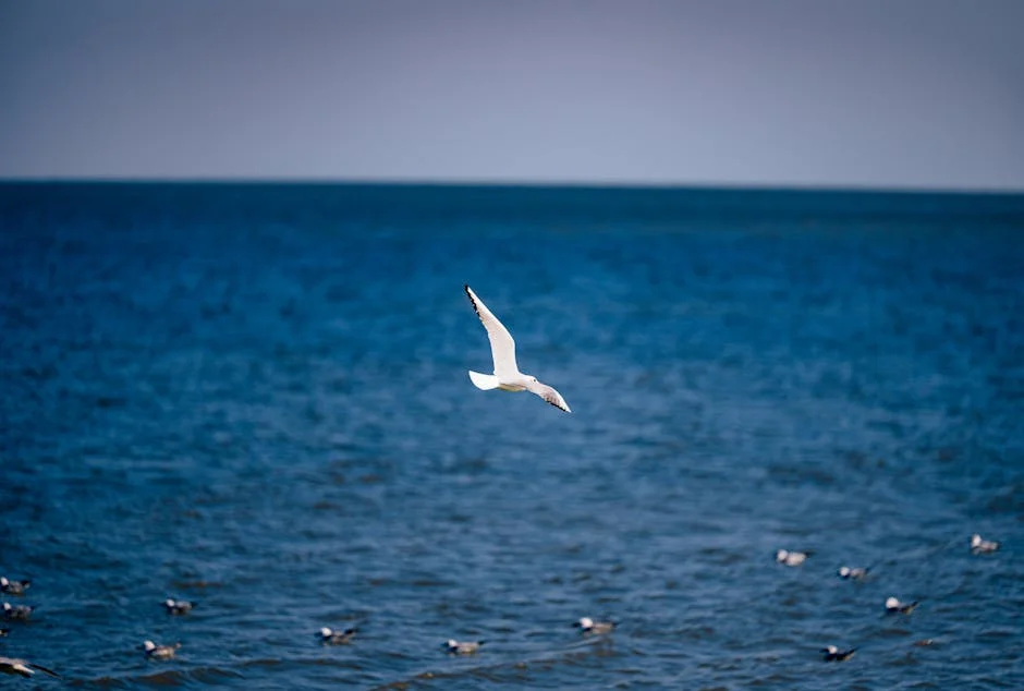 Gulf States Slam Trump Over Security Pacts: Reveals Shifting Power Dynamics in Middle East — Economy Business