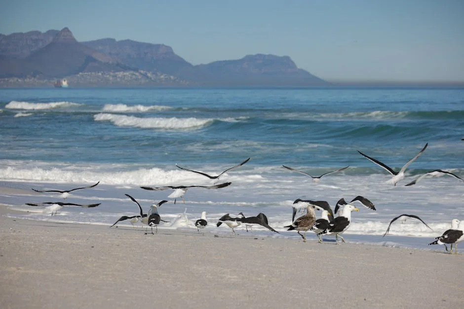 Hantavirus Outbreak Hits Western Cape Cruise Industry — Health Medicine