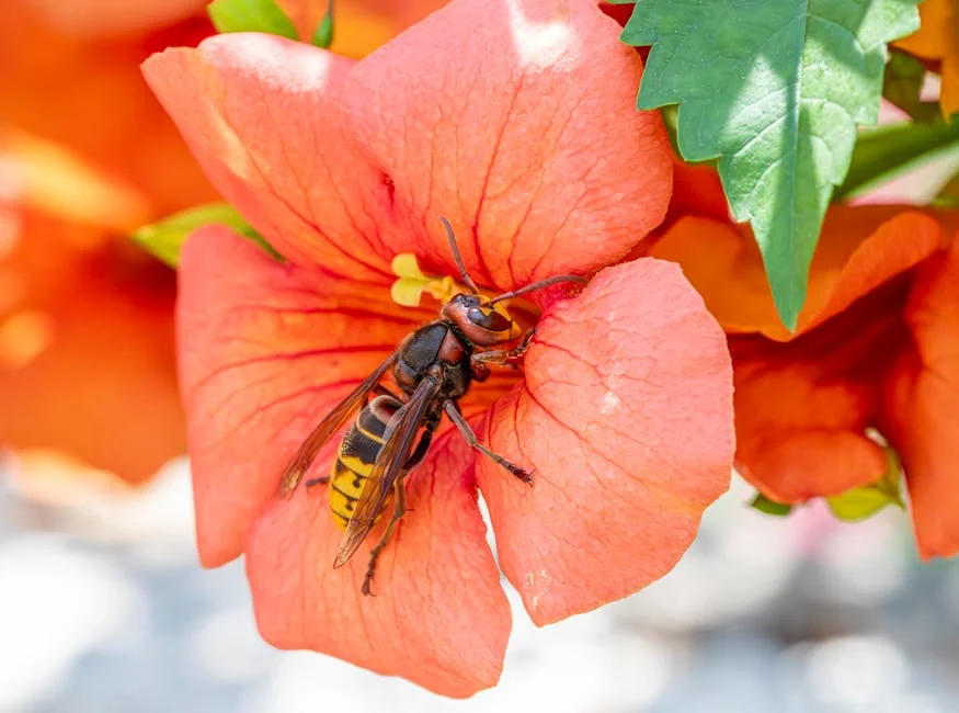 Hornets Shock Celtics in Thrilling Match: What It Means for Global Basketball — Economy Business