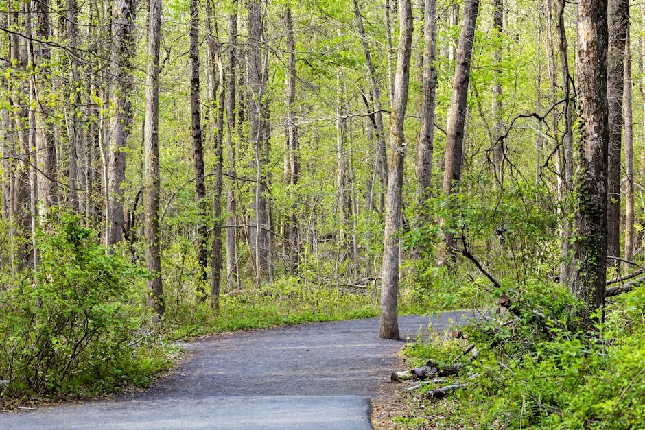 Ian Huntley dies in prison attack — what it reveals about justice and safety — Economy Business