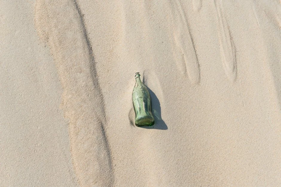 Inanda Cane Field Discovery: Body Found Sparks Outcry in Durban — What It Means for Community Safety — Economy Business