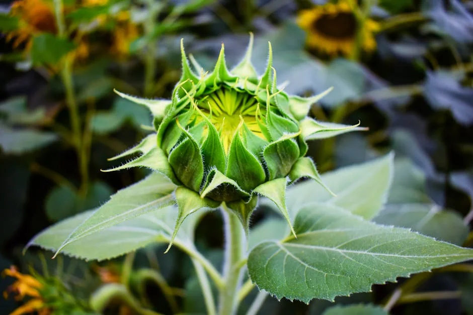 Indian Airlines Cancel Flights Amid West Asia Conflict: What It Means for Travellers — Economy Business