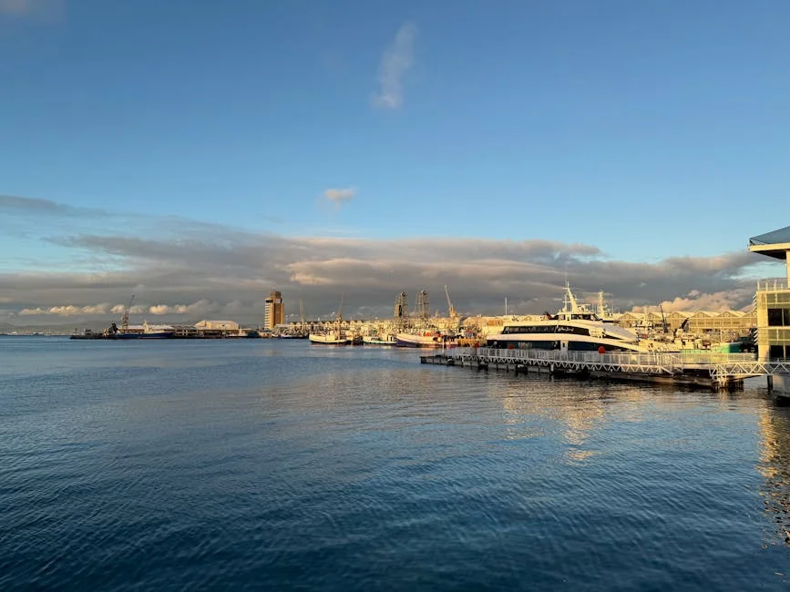 India's Shami Confronts South Africa in High-Profile Cricket Clash — Economy Business