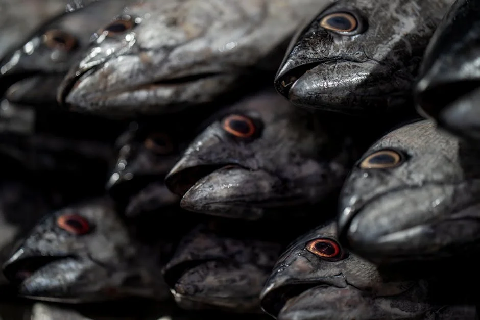 Iran Crisis Disrupts Gulf Trade — Asia’s Daily Life in Turmoil — Politics Governance