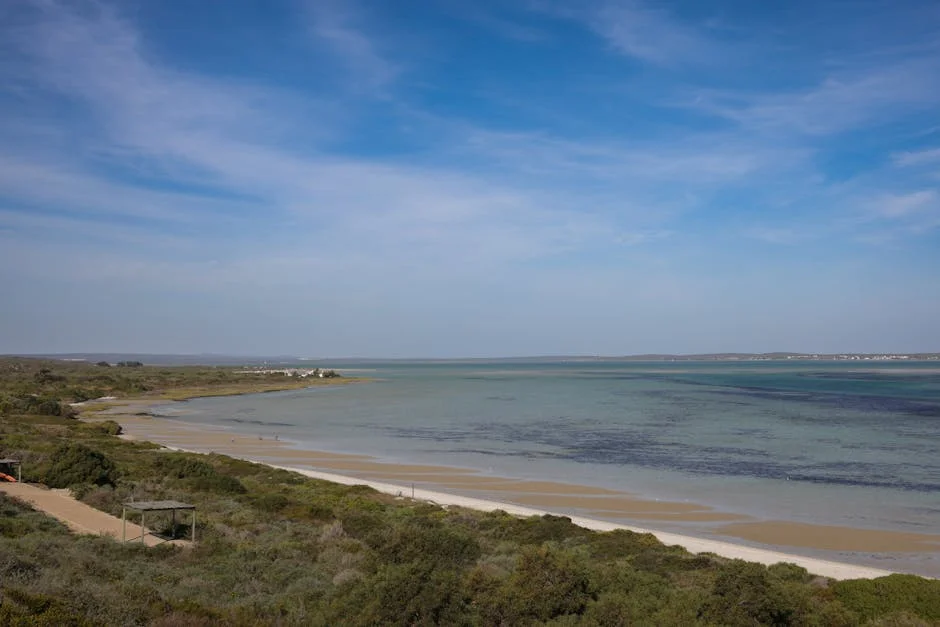 Iran The Slams US Over Sanctions — and South Africa Feels the Ripple — Politics Governance