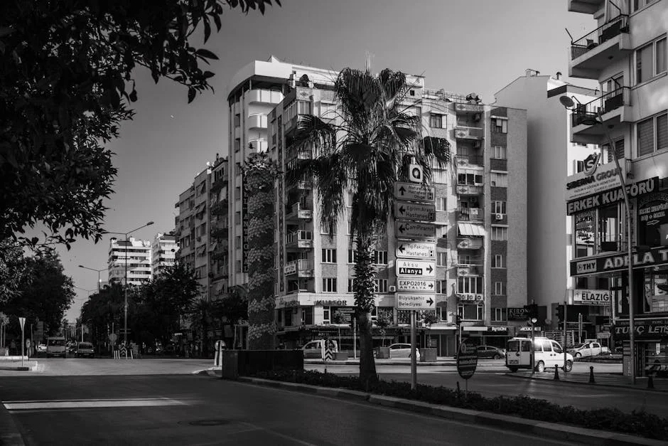 Iranian Journalist Shares Insights on Working in Tel Aviv - A Glimpse into Middle Eastern Media Landscape — Economy Business