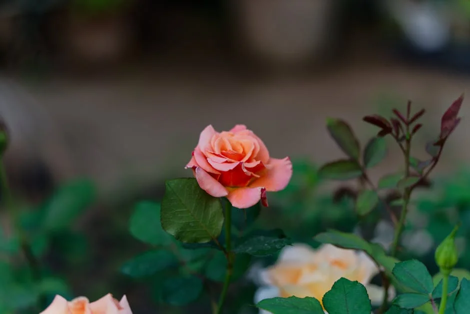 Iraola Leaves Legacy for Marco Rose in Europa Shock — Economy Business