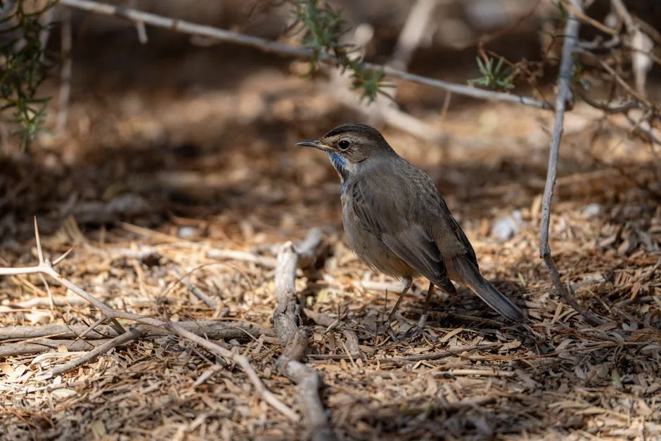 Israeli Defence Minister Reveals Netanyahu's Plan to Target Khamenei: What It Means for Africa — Politics Governance