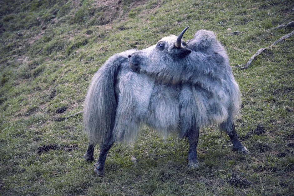 Israeli F-35I Shoots Down Iranian Yak-130 Over Tehran: Historic Military First — Economy Business