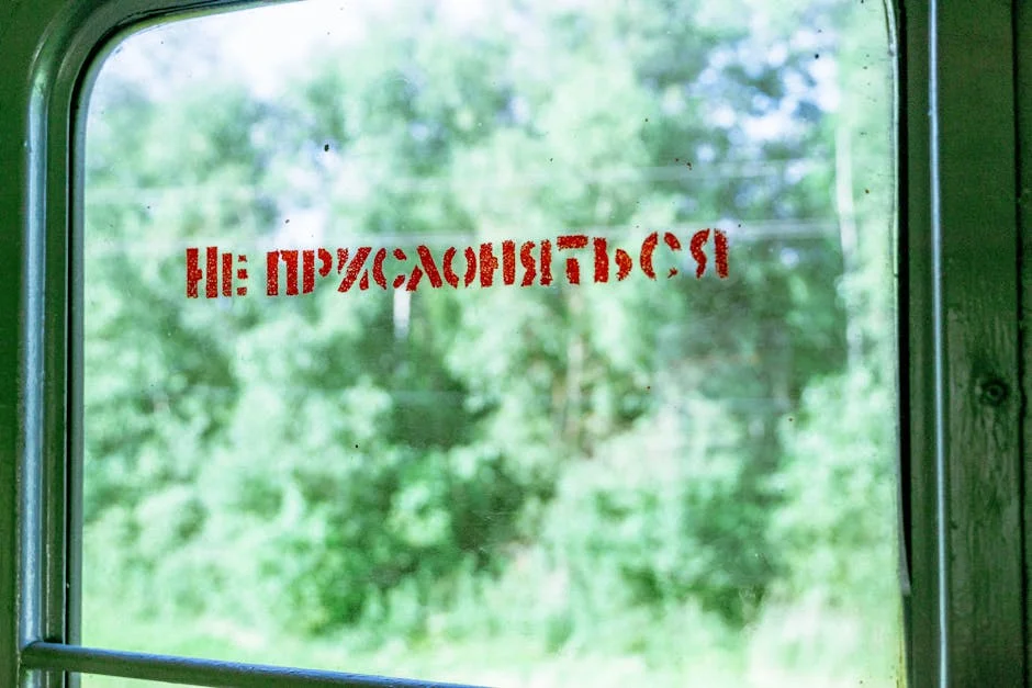 Italy's World Cup Exit Sparks National Crisis — Fans Demand Reforms — Culture Arts