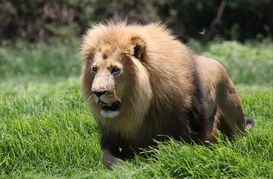 Jozi Stench Reignites Urgent Air Quality Concerns - What's Next for South Africa's Economic Hub? — Economy Business