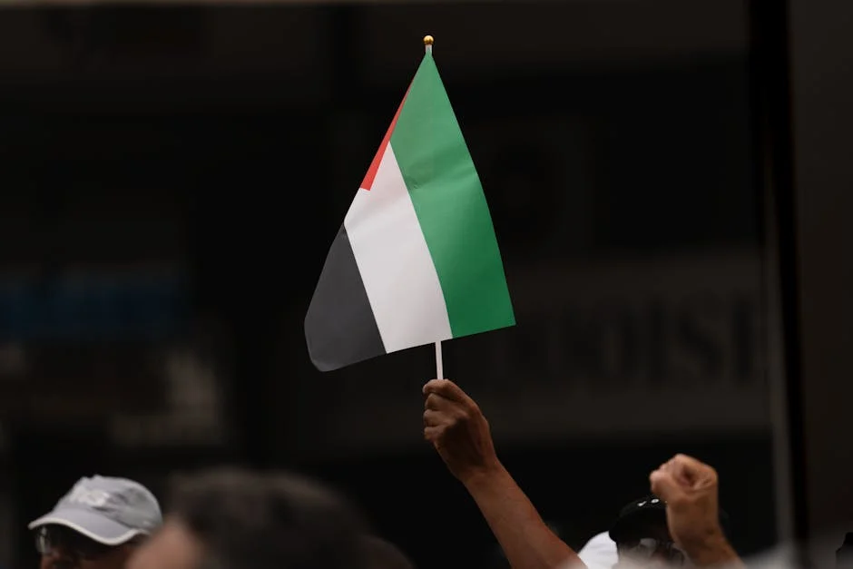 Justice Demands Equality: South Africa Pushes for Women's Legal Rights Revolution — Economy Business