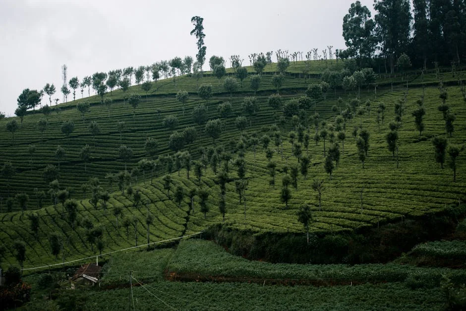 Karnataka Government Unveils Groundbreaking Projects for Mysuru — Here's What It Means — Economy Business