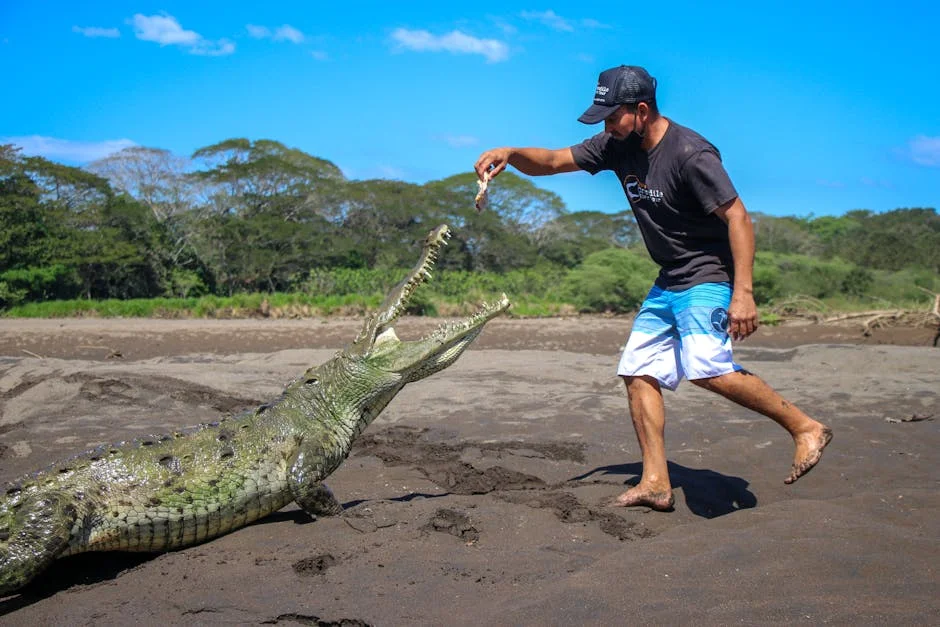 Kenya's Lake Turkana Crocodile Attacks Trigger Tourism Crisis — Economy Business
