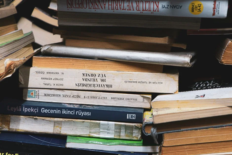 Kolathur Main Road Development Sparks Civic Debate — South Africa Watched Closely — Politics Governance