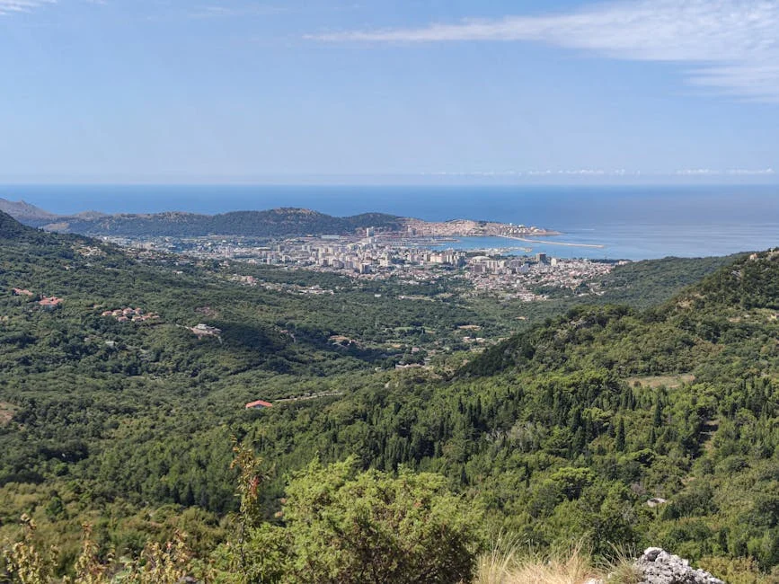 Kvaratskhelia Boosts VE Market Prospects Ahead of Bayern Match — Economy Business