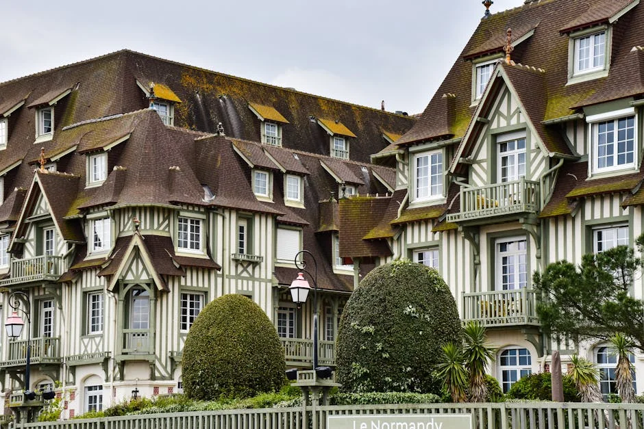 Le Normand warns Tottenham's schedule strains players — here's why it matters — Economy Business