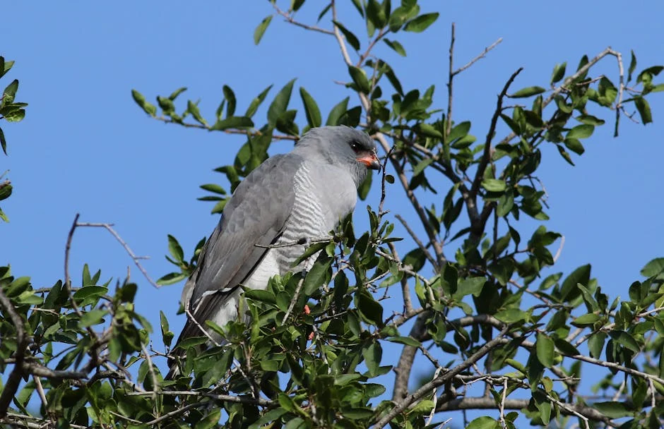 Liberian Lawmaker Pushes for Education Overhaul in West Africa - Impact on Development Goals — Economy Business