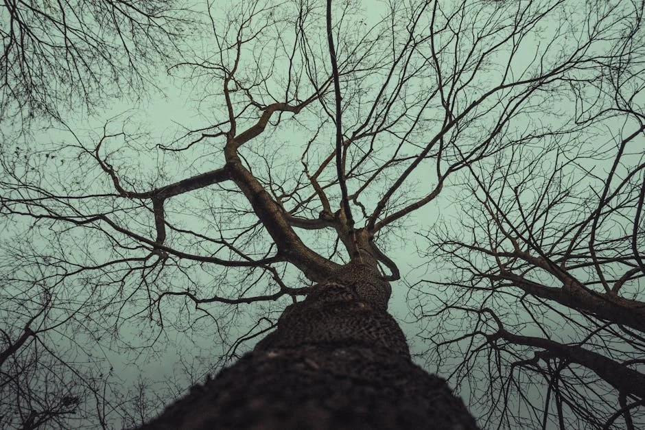 Local Man Kills Boy in Gruesome Attack: Villagers Expose Shocking Details — Economy Business