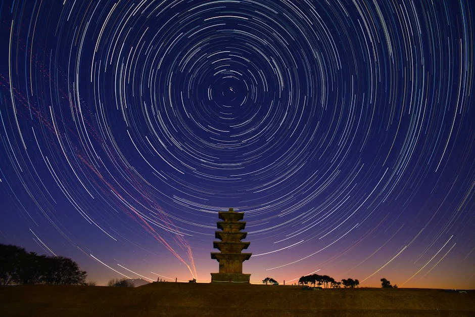 Lorient FC Signs ZA Star Amid African Development Push — Economy Business