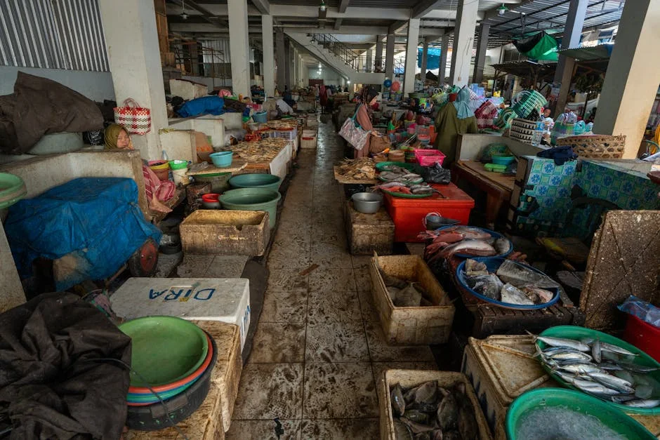 Lourenço Runs Again — Angola Markets Brace for Policy Continuity — Culture Arts