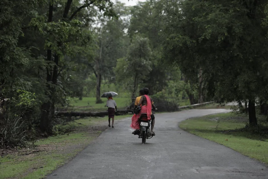 Ludhiana's Weather Disruption Shakes South African Cotton Imports — Economy Business