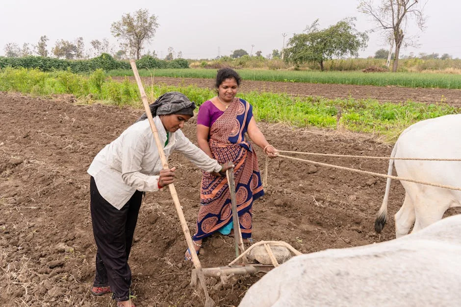 Madhya Pradesh Woman Punished for Refusing to Carry Husband — Four Arrested — Economy Business