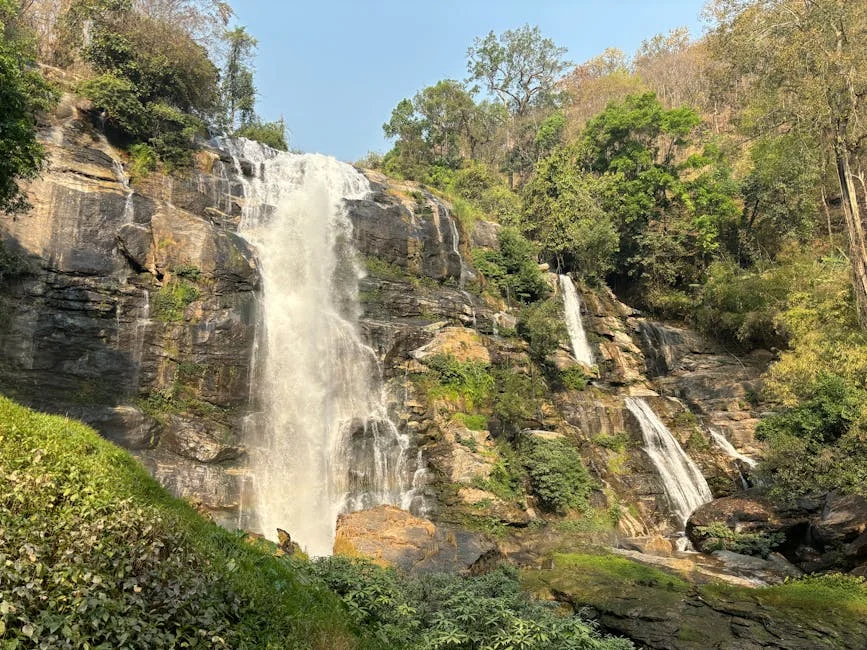 Mais Exposes South Africa's Education Crisis: Schools as Prison-like Environments — Economy Business