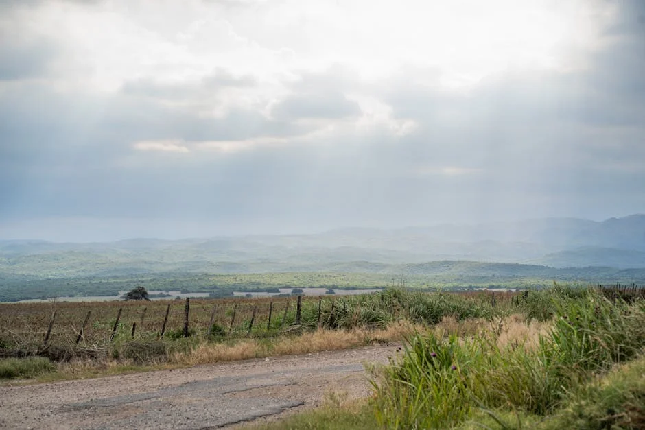 Mário Ramos Acquires 50.1% of Seguramos: What This Means for South Africa — Economy Business