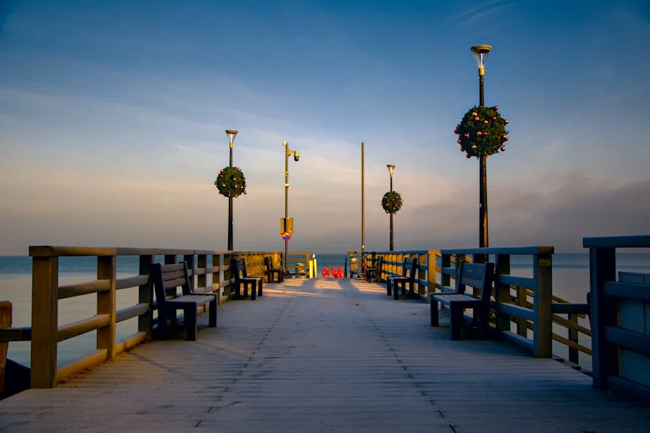 Martim Guedes joins Chama: what this means for Vitória and African football — Economy Business