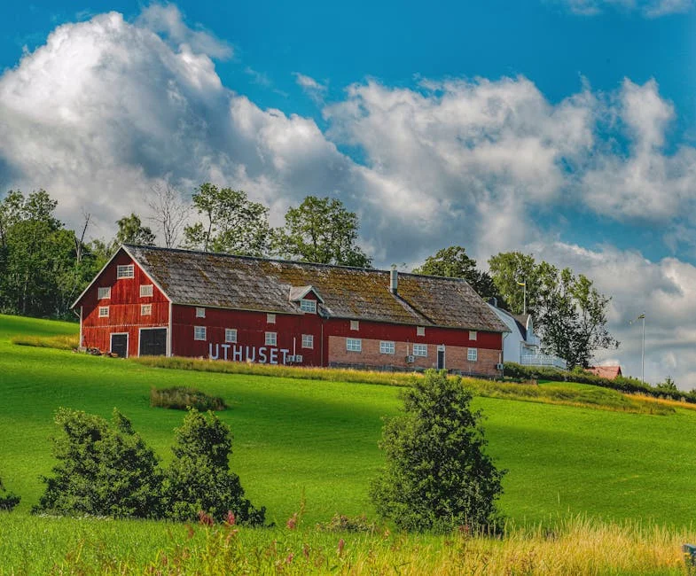 Matt Henry Claims Crucial Wicket — Boosting PBKS in Live Showdown — Economy Business