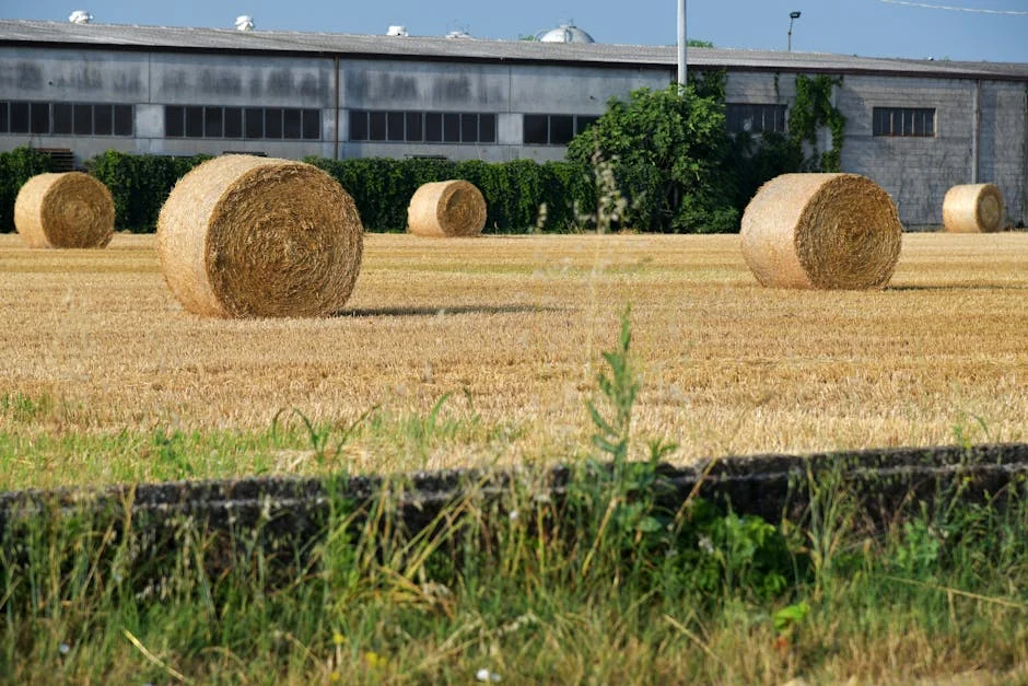 Mbappé's Bale Comparison Triggers Market Panic — Culture Arts