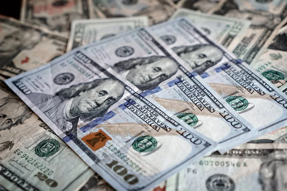 Meloni Slams ZA's Economic Policies — and Investors Take Notice — Economy Business