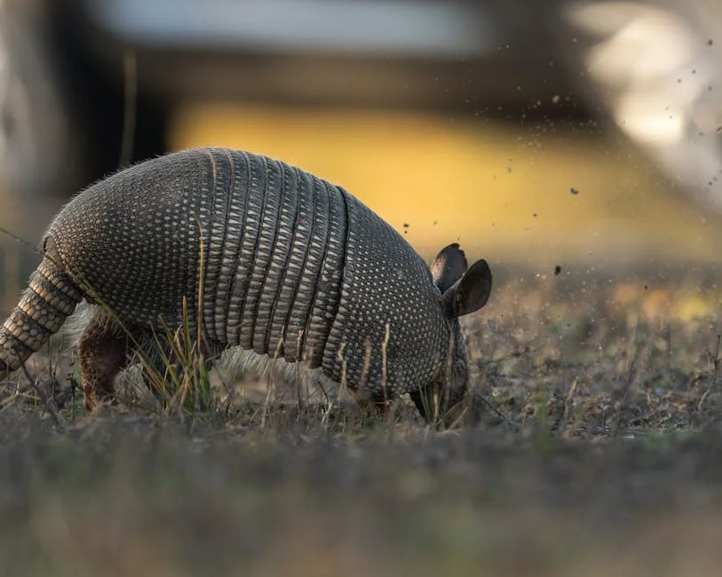 Mexico Secretary Lifts Animal Protections for Gulf Drilling — Economy Business