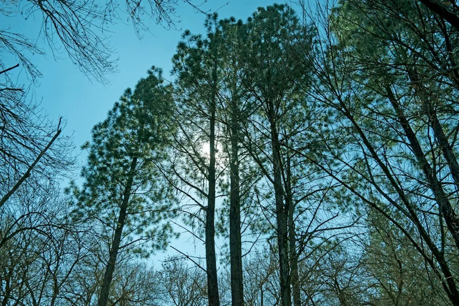 Midrand Residents Slam Government Over Water Crisis — Here's the Full Story