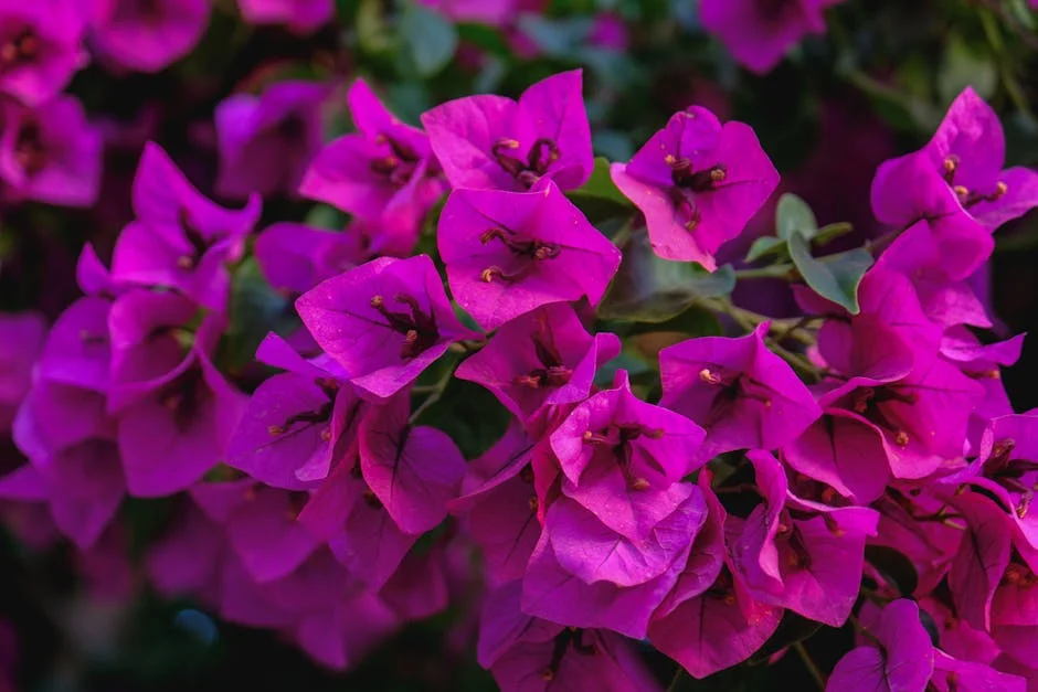 Modi Unveils New Metro Lines in Delhi: What It Means for Africa's Infrastructure Goals — Economy Business