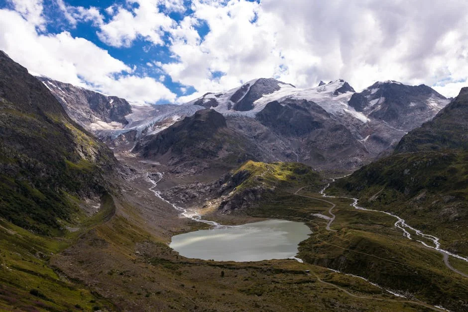 Montenegro Honours Cavaco Silva with European Order - What It Means for Africa — Economy Business