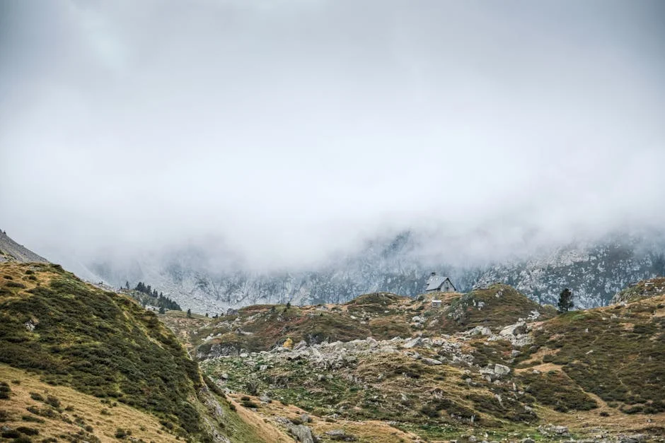 Montenegro Seeks Climate Alliance with Spain: What This Means for South Africa — Economy Business