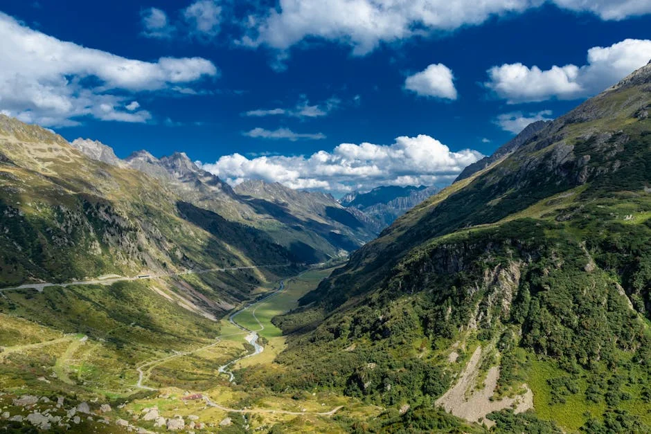 Montenegro Tackles Fuel Profiteering, Echoing African Development Goals — Economy Business