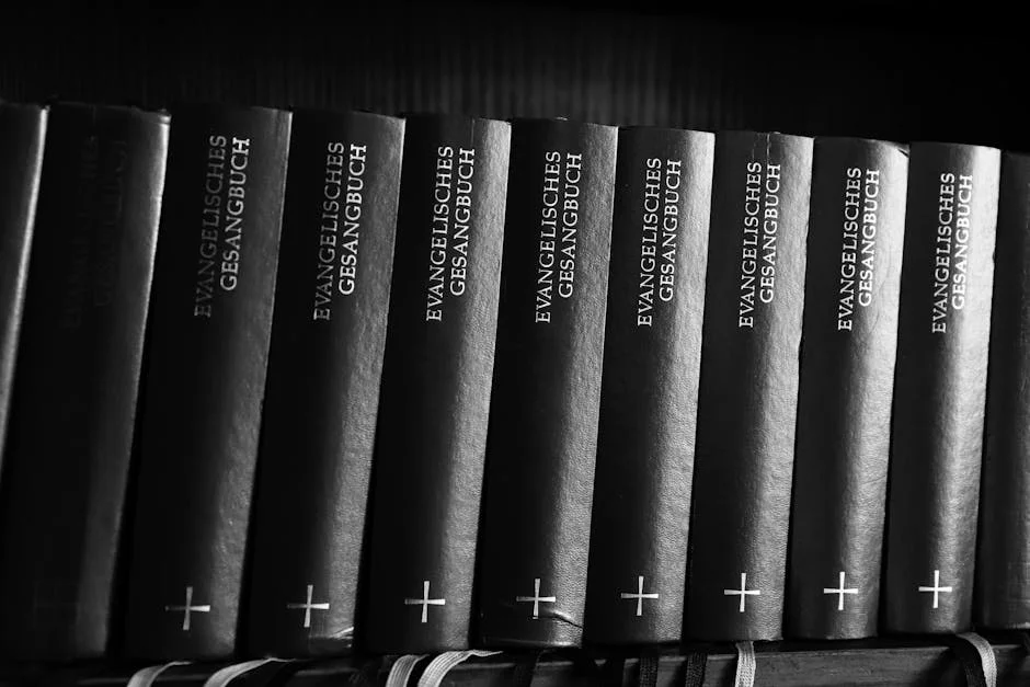 Motsoeneng The Launches Free State Stabilisation Drive